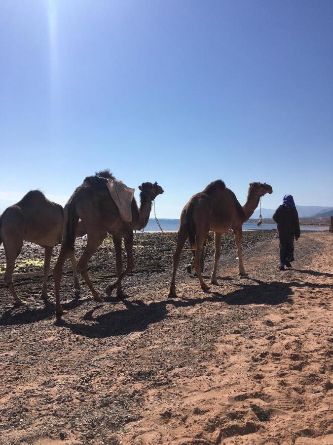 Nuweiba` Anne Sinai'S Best Camp & Resturant酒店 外观 照片